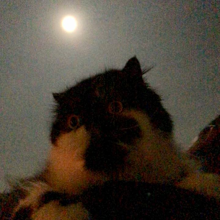 874a0c74 9ff7 4361 b458 5531717d5de1 1537796972688