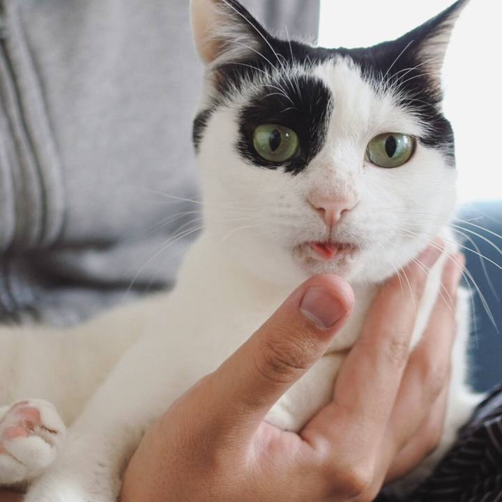 874a1675 c4bc 410d 9cca 81b56efa7ef4 1586741792435