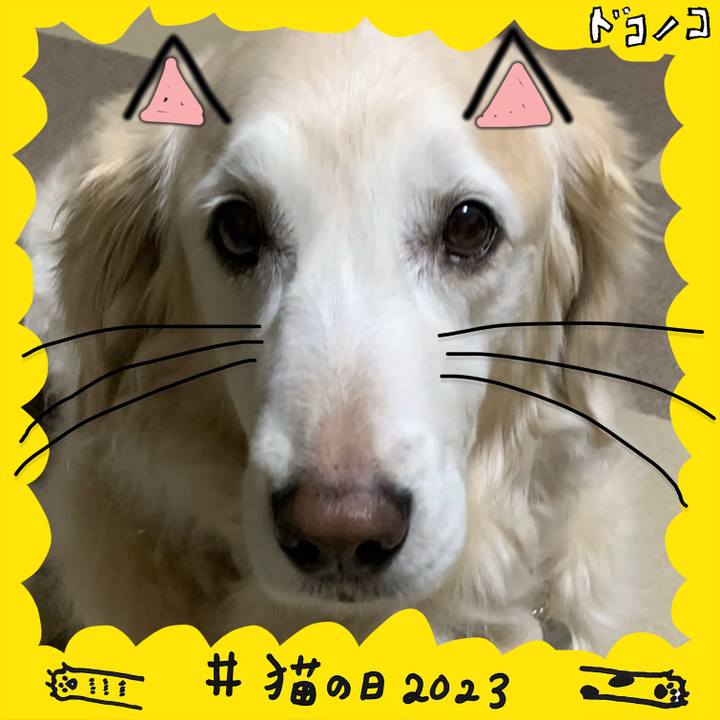 874b3637 03a0 4376 bfda 83610c9b8839 1677041387594