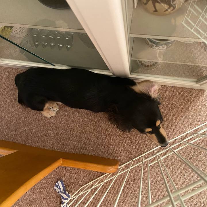 874b6e74 381f 40cc b48f e8d438011681 1700535116541