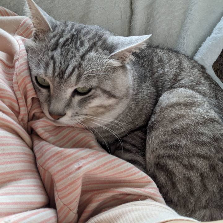 874b82fd 86d0 4d8a a95d 0f0fb22e1833 1713503084358