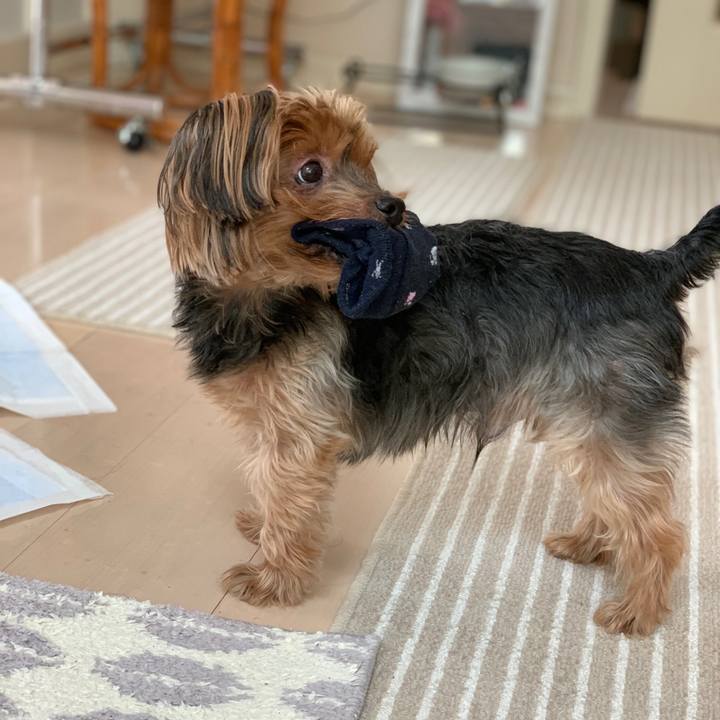 874ba097 064b 4ead abca 1a03489a4fc2 1578182960903