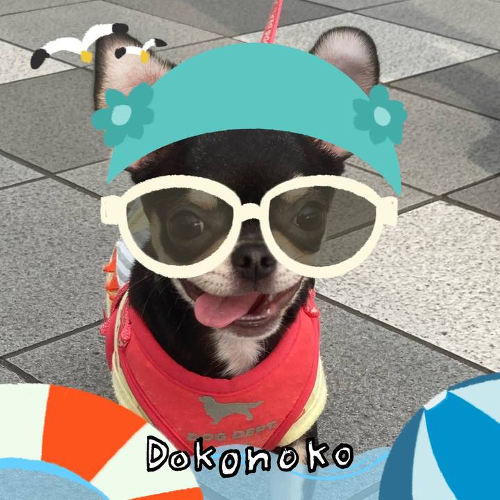 874ba6c1 fed0 4d92 8c3c c19efc8b3808 1723512069968