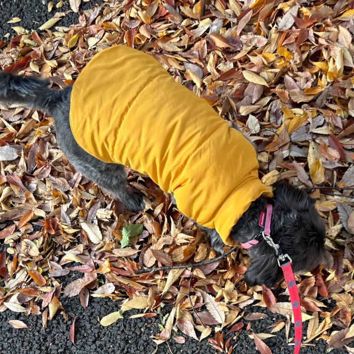 874bb4b4 7e90 4d04 905d c1d966a5b820 1762608100356