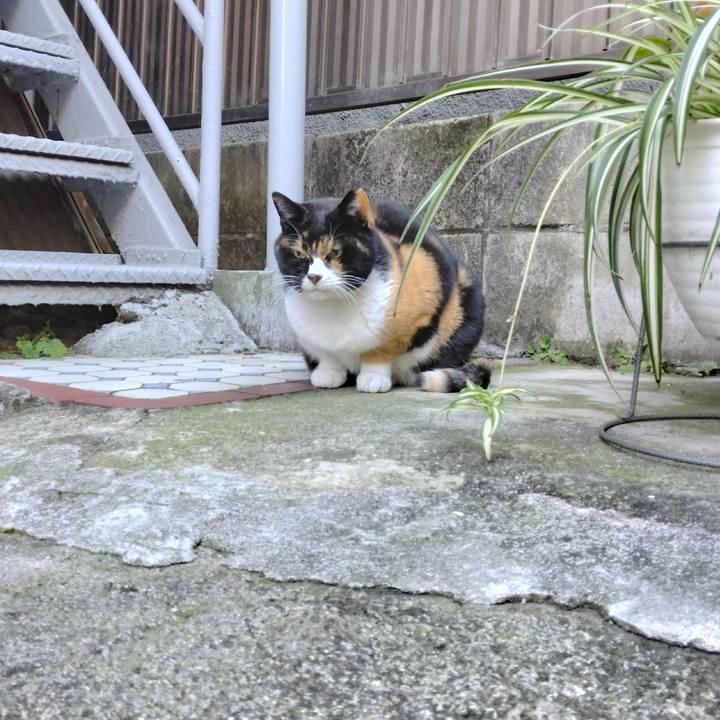 874bb7b5 89fe 463d 8812 615d87e9a0d4 1703548460605