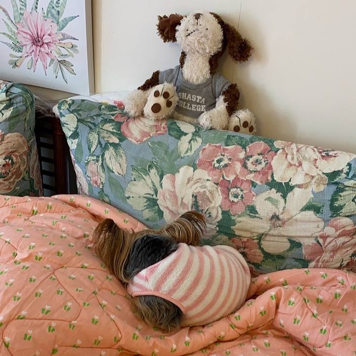 874bc2dc 602b 4eac b5a8 8f091d36fdd8 1615936582266