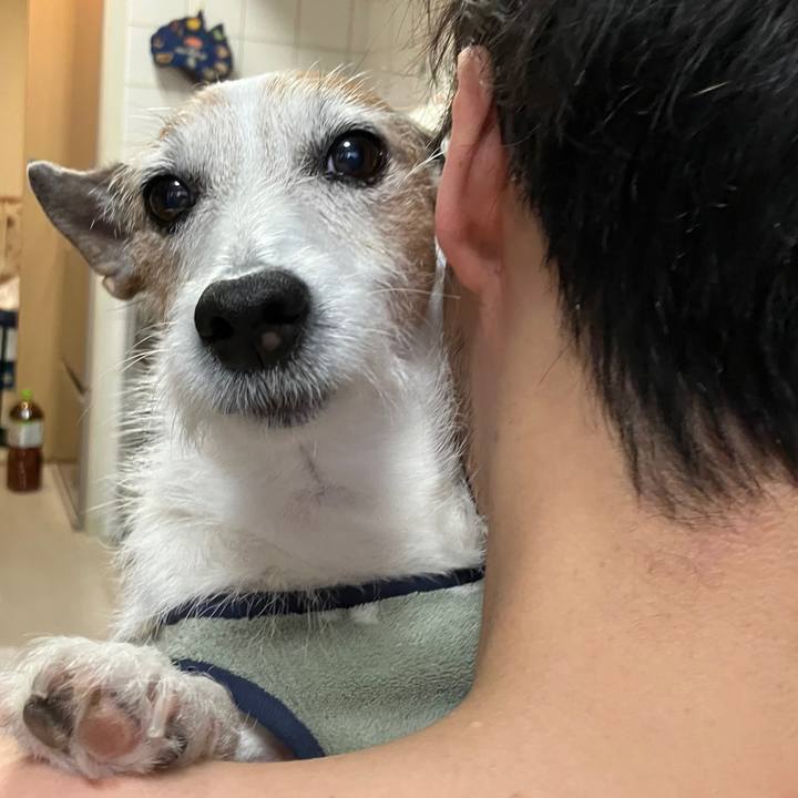 874bdced d223 4775 9815 de9f3561b4bc 1736123028850