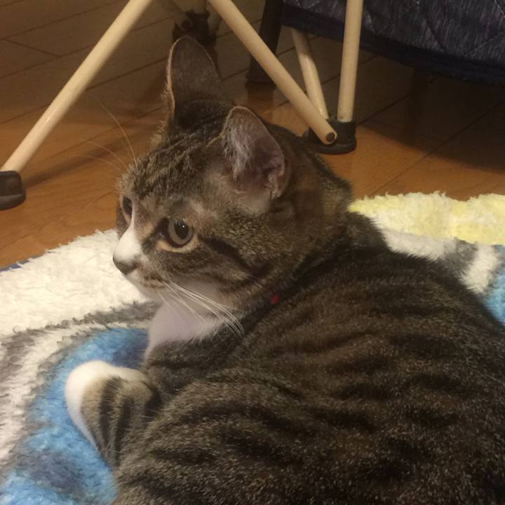 874bde39 8336 4ba4 88c4 83a97c03ac52 1559661737023