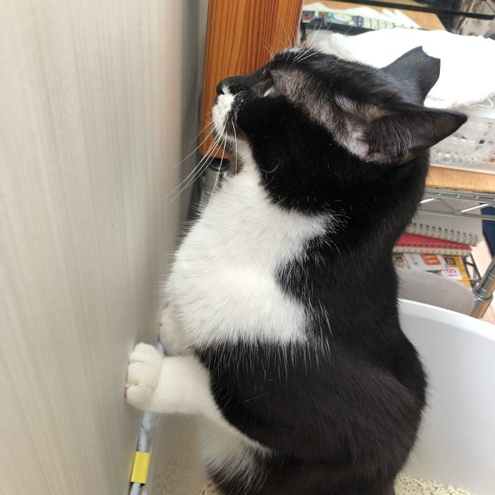 874c003f ce96 4fb2 a96d 9f026b3d3f30 1649365640762