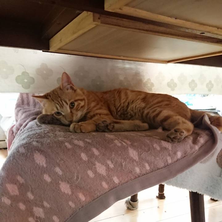 874c034e c6c7 44bc 9fdf 23122cb0a489 1648161672932