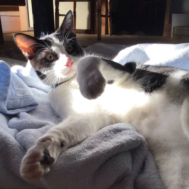 874c22fe e552 4ab9 84f9 2034e9b77469 1634369475170