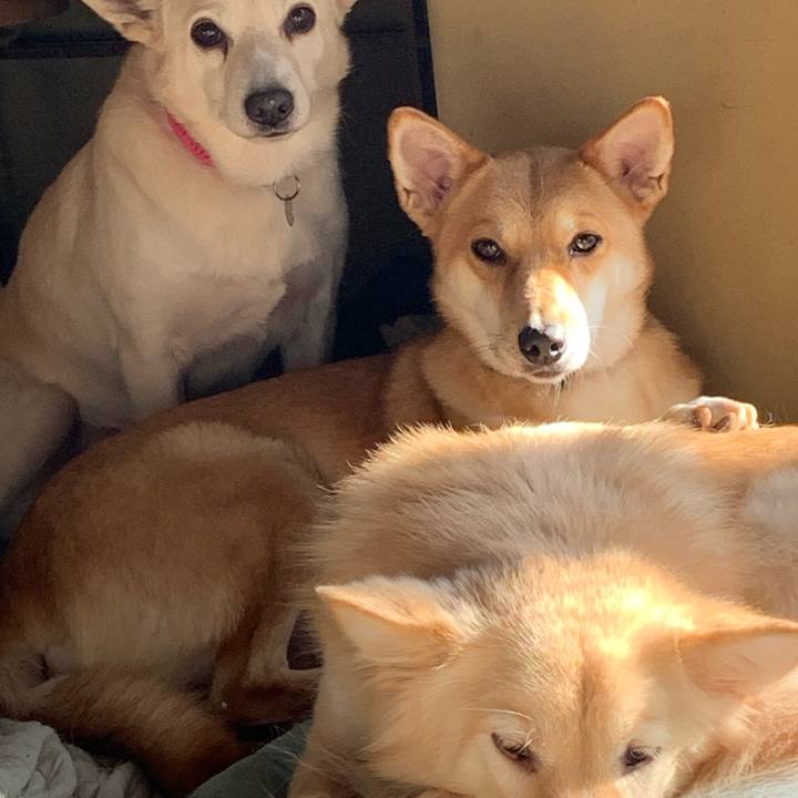 874c644b 3701 473a b84e d90d261f5053 1576378398642