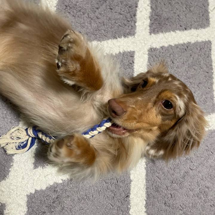 874c71fe 82b2 419f b54d 2a88515da344 1765111825830