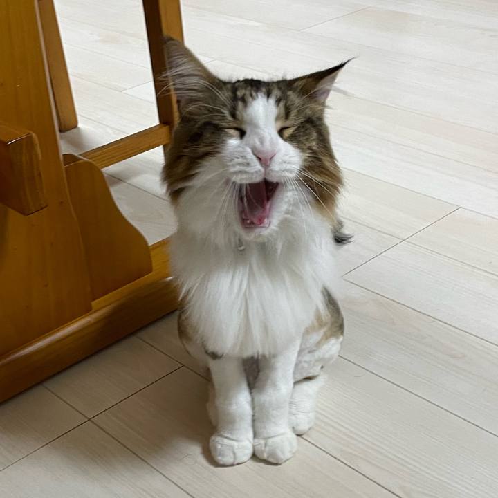 874c9edc 6482 41dc 92e3 3de6e6003297 1659470988761