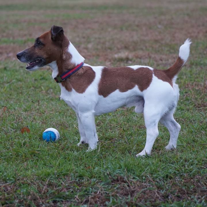 874d2278 6f1c 4733 bdaf 2bcdb7b53de7 1542408977589