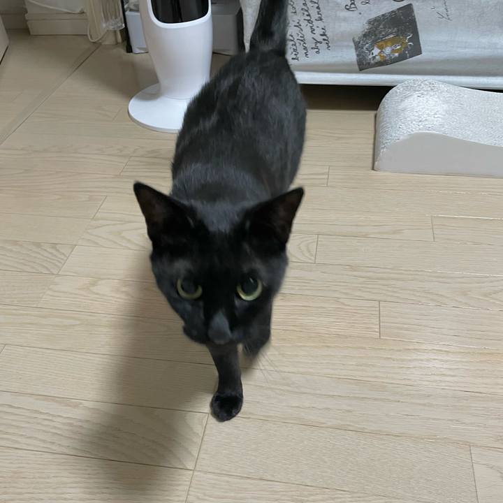 874d256a 03da 423d 820d 45321c898473 1656338688325