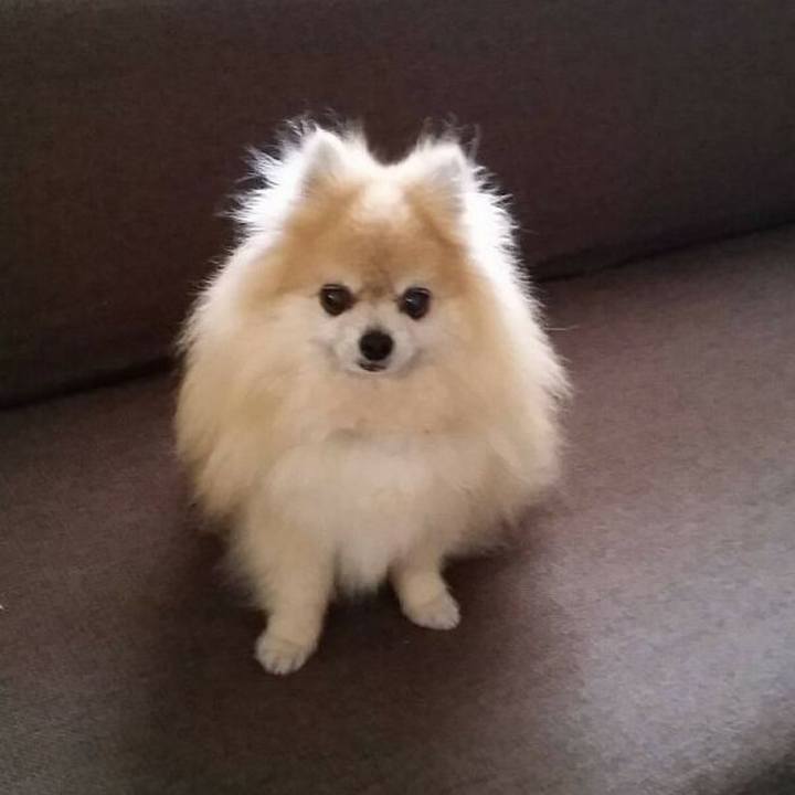 874d3392 950f 47af 8d6a 66f072709b99 1631964460822