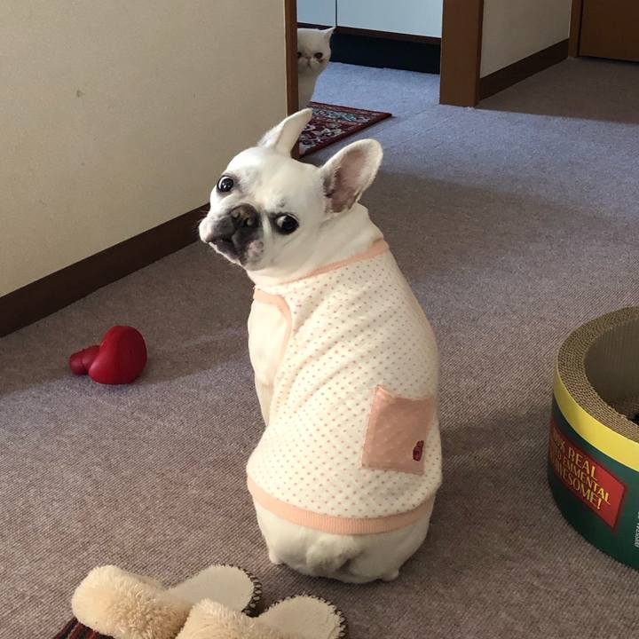 874d4013 4354 45f4 9a65 fb654a2c6dfc 1550989602376