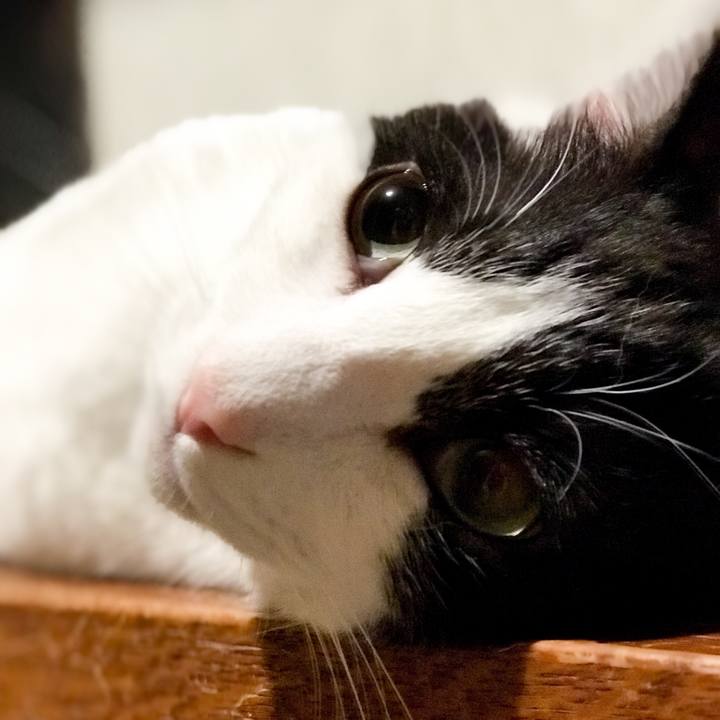 874d9323 c428 4e6e a9f7 6b547c853aae 1527948234691