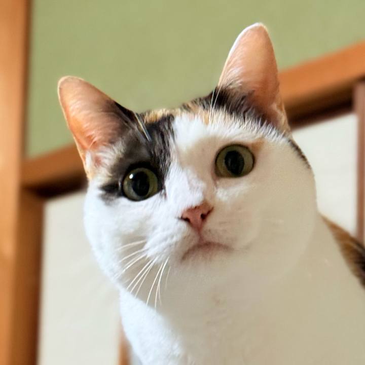 874d9edc ec32 4fde a523 2fbda2facc0f 1732584252315