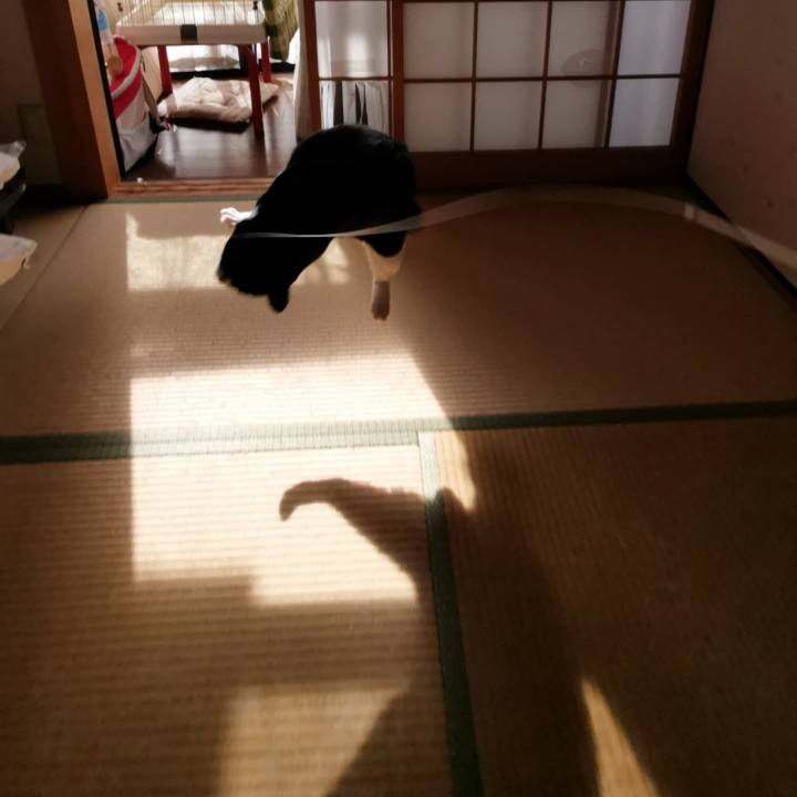 874de1e1 a066 4dcc 8146 699d246c2137 1686437554786