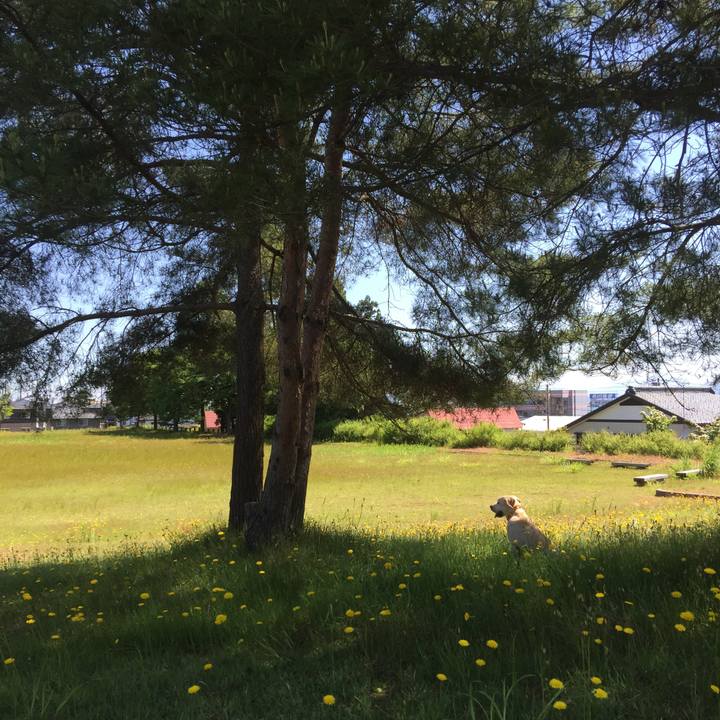 874df7d1 a538 43d9 82f8 b89879eab857 1586941650028