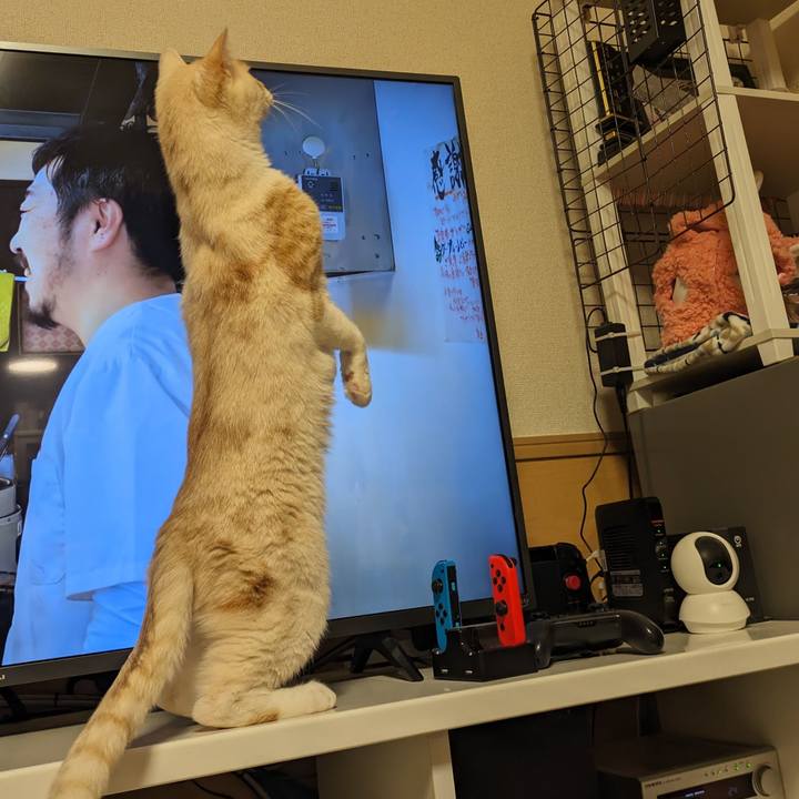 874dfaac 9e0c 45b6 afa1 99db44838f48 1714134182324