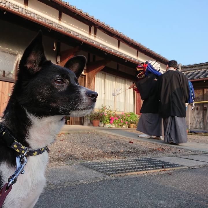 874e01ca 91fa 4307 ab93 8cee6d79594b 1541891808791