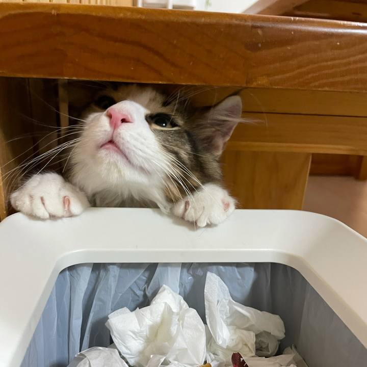 874e1247 e19f 4c88 bd3a 5205c2a79624 1633778879485