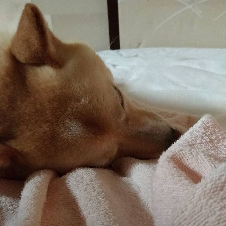 874e2410 a426 4763 b471 f3ca831df249 1565267306850