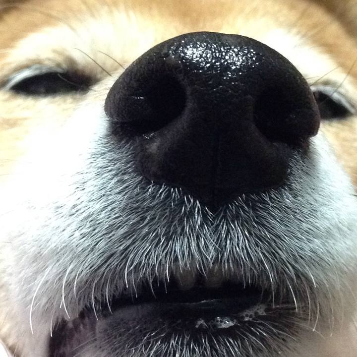 874e5cf9 d9c9 411a 9198 b7be1fff38bd 1523799482889