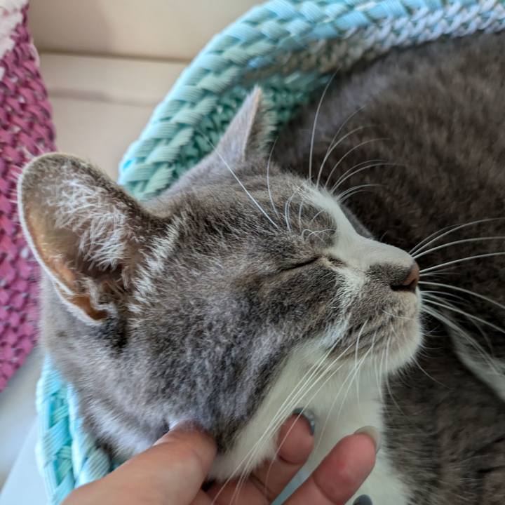 874e7ede b3b6 4c68 a2e6 55d0b3f1d084 1726013730550