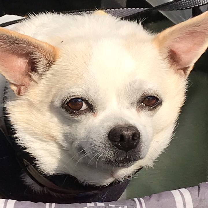 874ed1e8 ff68 4973 a64e f21a03aca22a 1555297485949