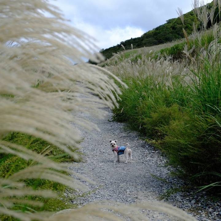 874ed540 13a8 43c1 adf1 ba89cb6ed779 1727349777047