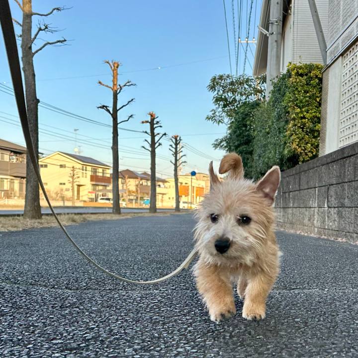 874f341a afa9 4981 b680 4d35632b48e1 1706601156708