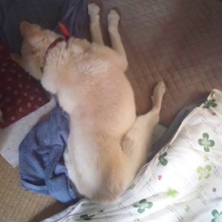 874f3a4e edc2 4407 a18b a316b52b4fe4 1553492597519