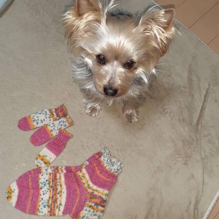 874f7021 7c7b 49fc 901e f675f7ef0b3f 1677670517965