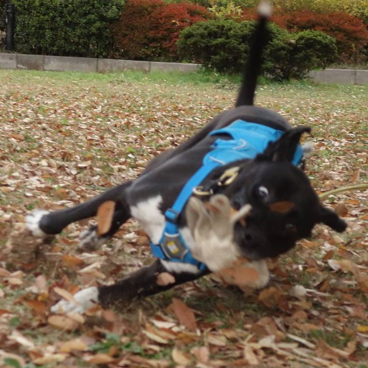 874f928e 9c60 483e 8927 d2d5a74524f1 1605143641685