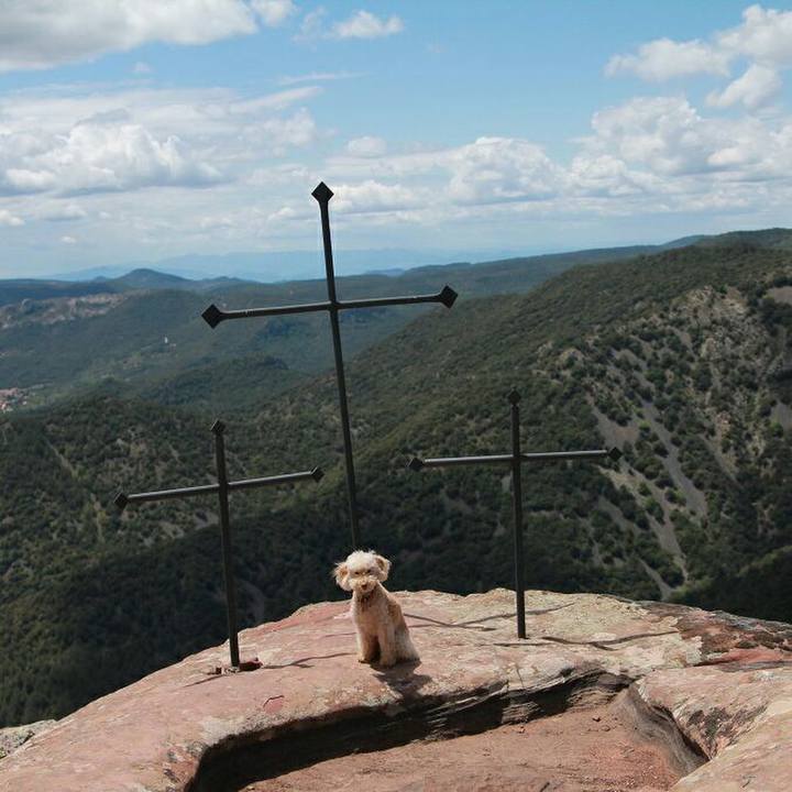 874faaff 37b6 40eb a82a 12148746c166 1558533437104