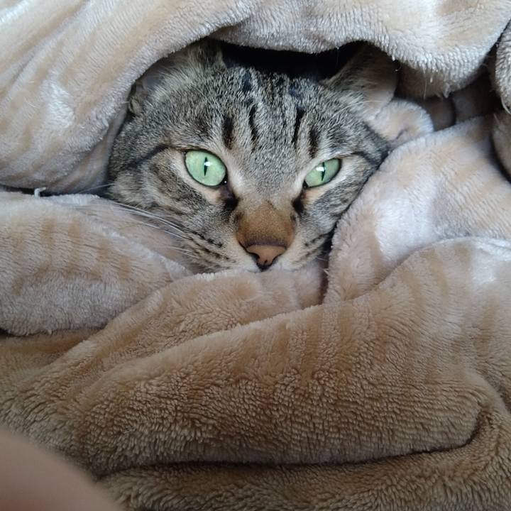 874fceb1 fa12 46d8 8ae8 acf5cec6e9b4 1645933284635