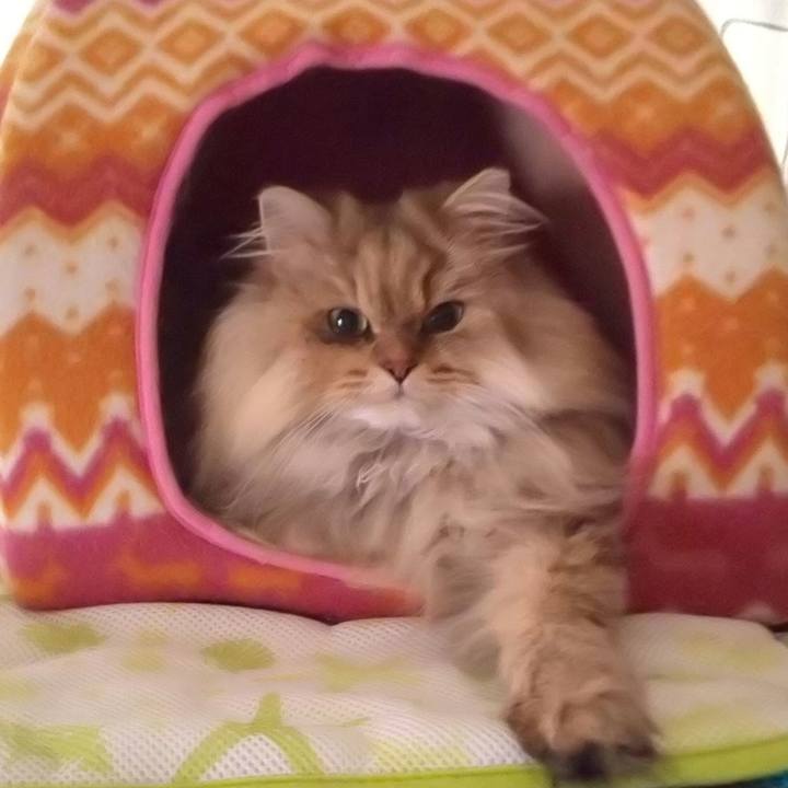 874fed52 fe55 41a0 9ae3 a6dd0d5b86ce 1606968414602