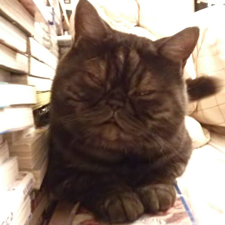 87500ac9 d2ad 4e2b 8184 b50b08fb2ebf 1508068623634