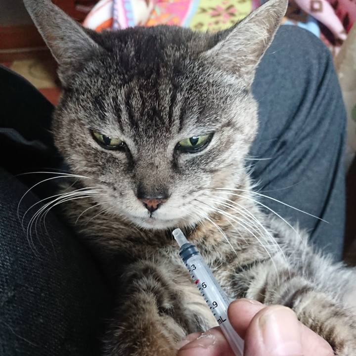 87500d6f cb9a 4225 a443 e954bd33b0d4 1584567572020