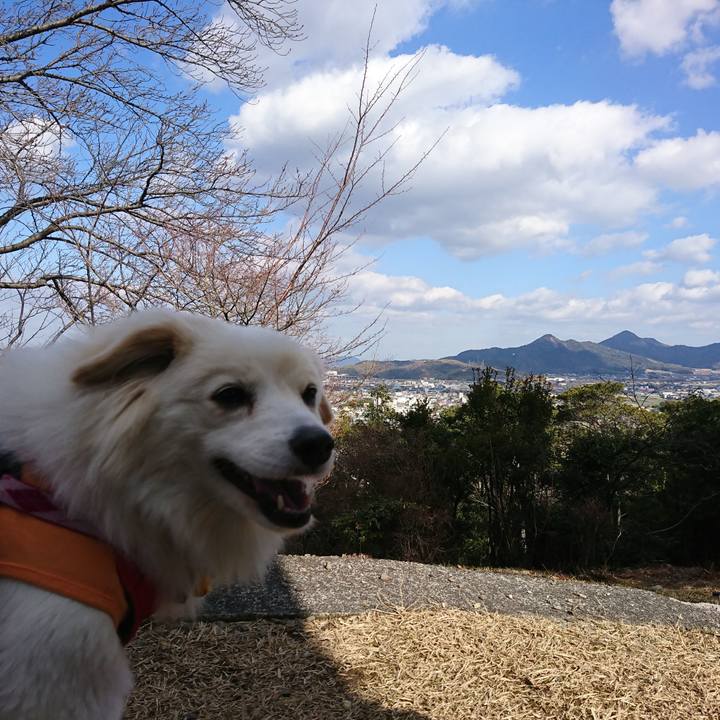 87503058 ef92 4d2d aee4 93fe0feaa2a7 1548055663808