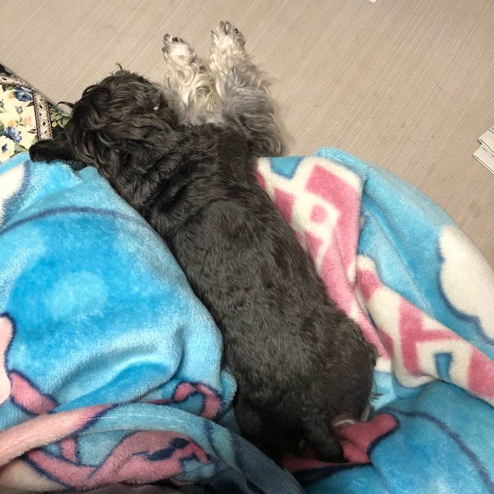 87508013 c505 49a7 823f 0539ba0a2b12 1635771682065