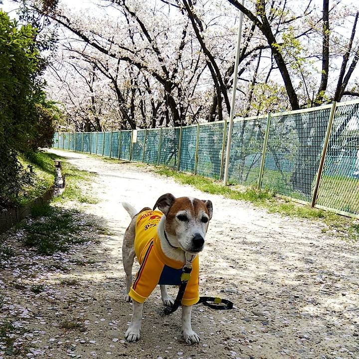 8750c332 baa9 4377 a7eb 63507d774a5d 1522582455779