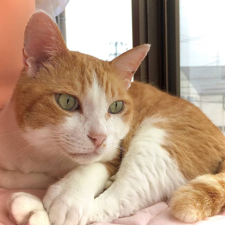 8750d281 6d5a 40e3 a0ab aa35eafaba8a 1593414652704