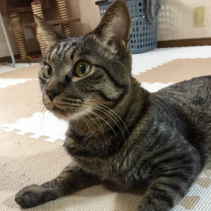 8750e5d1 c1c0 47d8 83b6 d39185b8932f 1517733337968