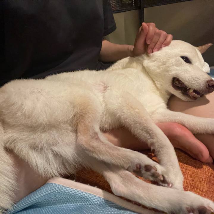 8750fa07 8bb5 4308 ad39 8357f9f39e8d 1664019961749