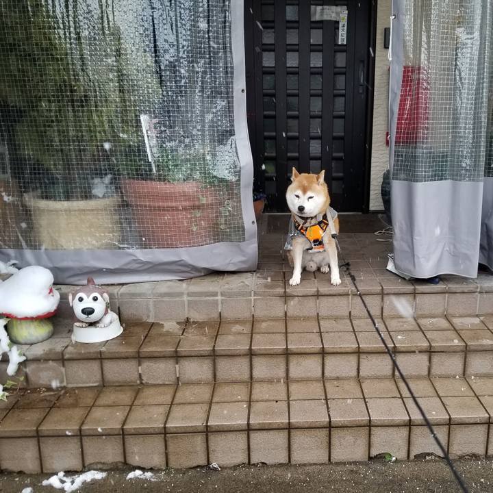 87510a26 77d1 4453 b060 49c1a52e932c 1639891768010